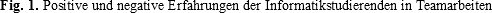 Fig. 1. Positive und negative Erfahrungen der Informatikstudierenden in Teamarbeiten